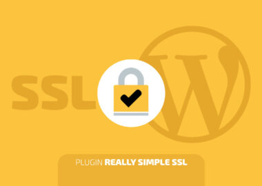 Plugin-Really-Simple-SSL