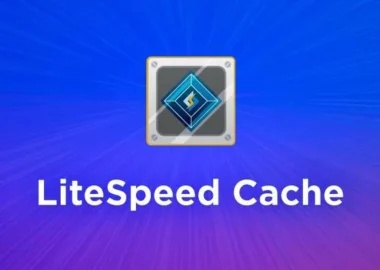 litespeed cache eklentisi